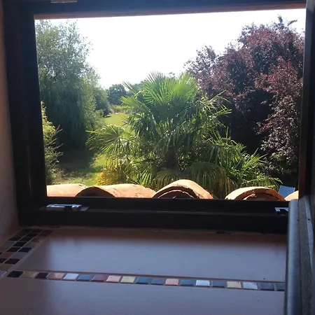 Le Pressoir * Madiran