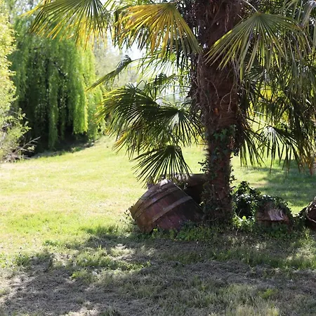 Nyaraló Le Pressoir Madiran